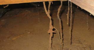 stalactites ou stalagmites, termite