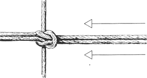 Noeud en huit de fixation